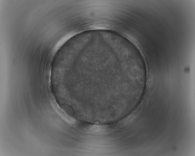 X0000113941179200910231937