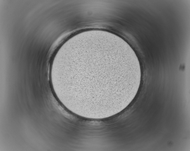 X0000113941180200910231937