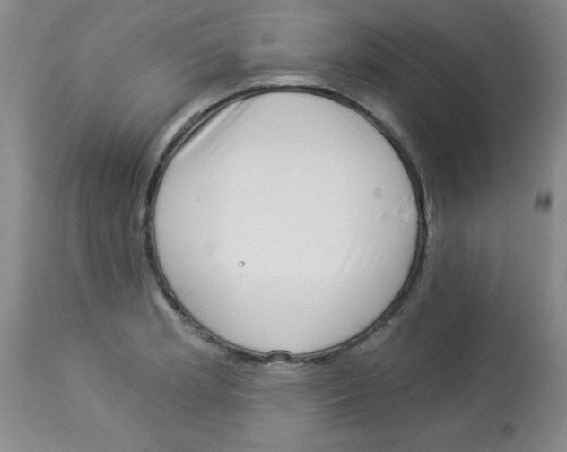 X0000113941181200910231937