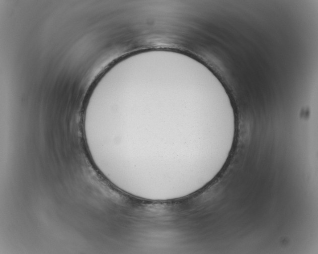 X0000113941182200910231937