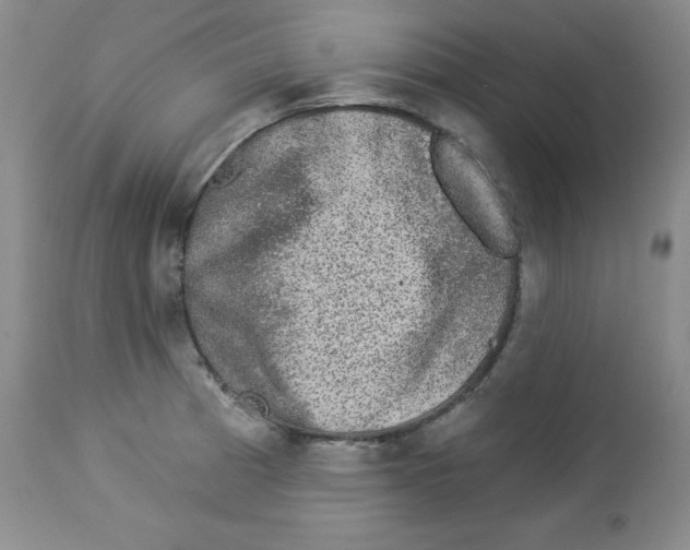 X0000113941185200910231937