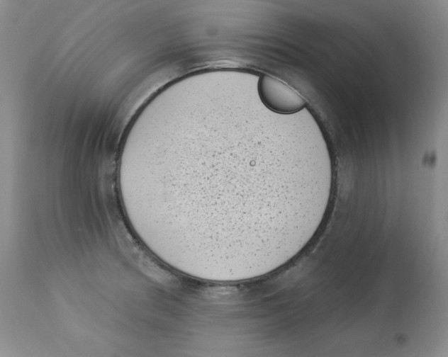 X0000113941186200910231937