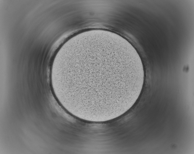 X0000113941188200910231937