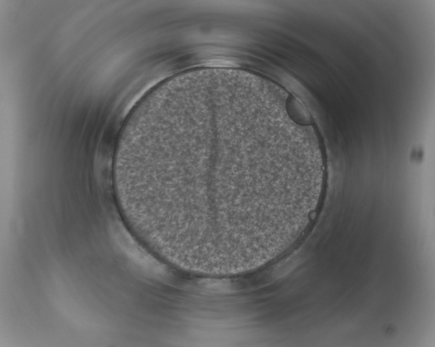 X0000113941194200910231937