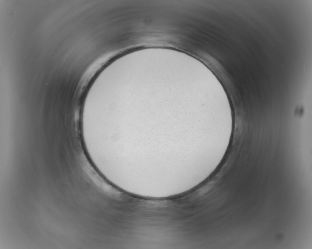 X0000113941196200910231937