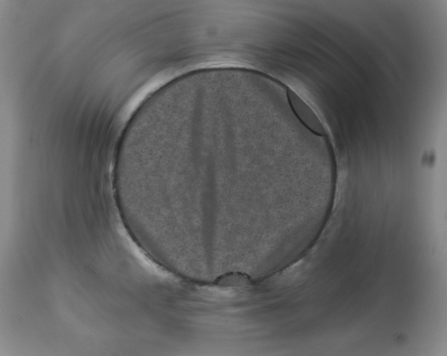 X0000113941197200910231937