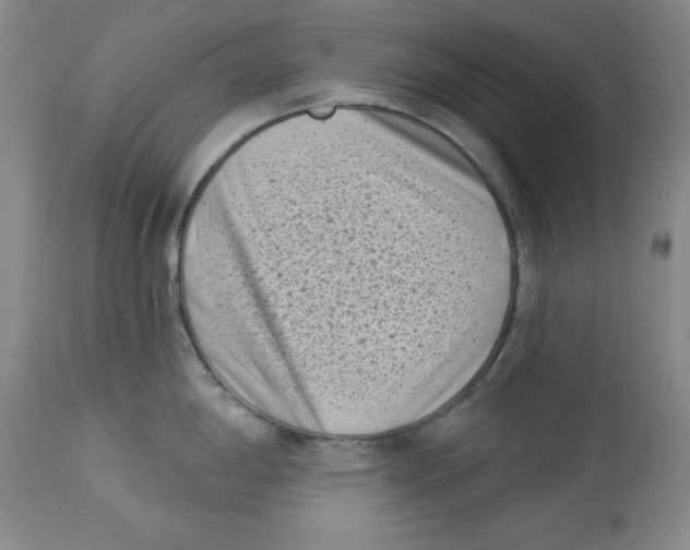 X0000113941198200910231937
