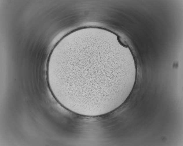 X0000113941199200910231937
