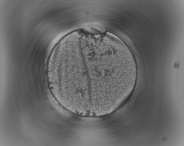 X0000113941200200910231937