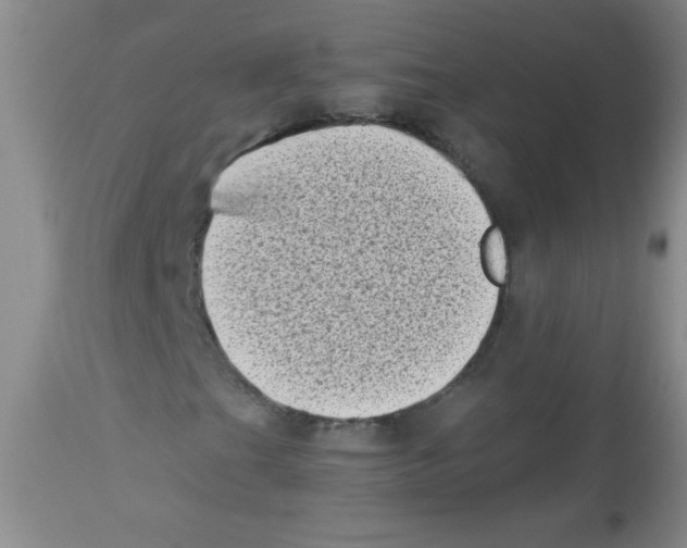 X0000113941201200910231936