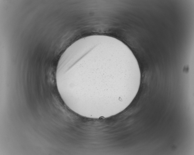 X0000113941202200910231936