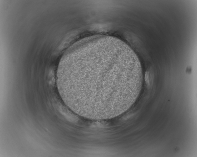 X0000113941203200910231936