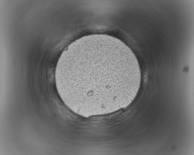 X0000113941204200910231936