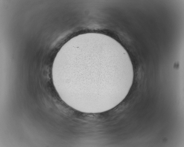 X0000113941205200910231936