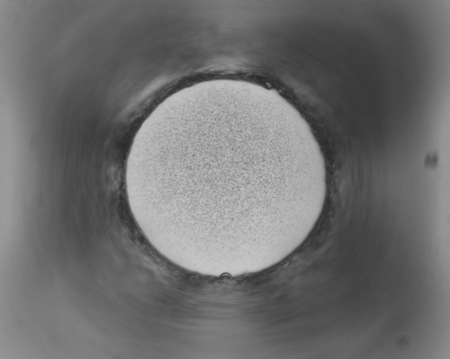 X0000113941206200910231936
