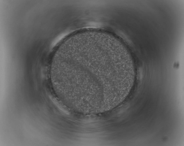 X0000113941208200910231936