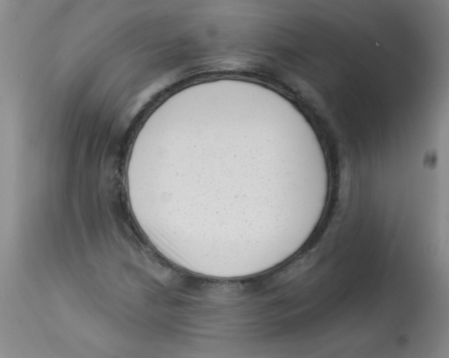 X0000113941210200910231936