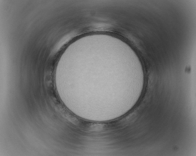 X0000113941211200910231936