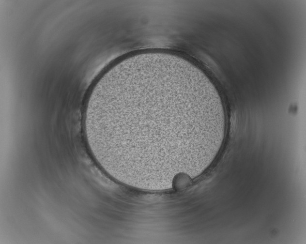 X0000113941212200910231936