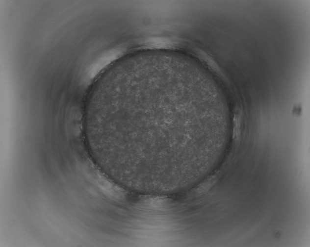 X0000113941213200910231936
