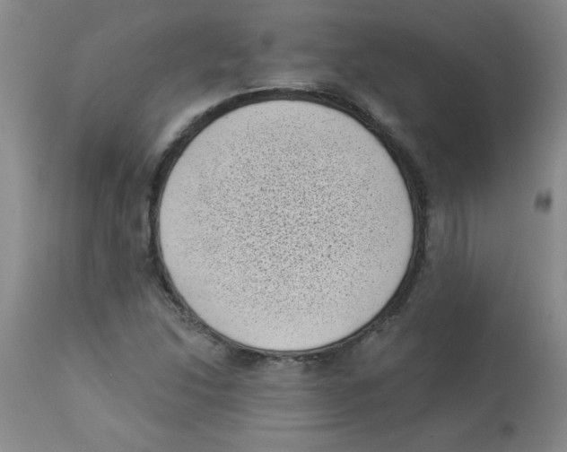 X0000113941214200910231937