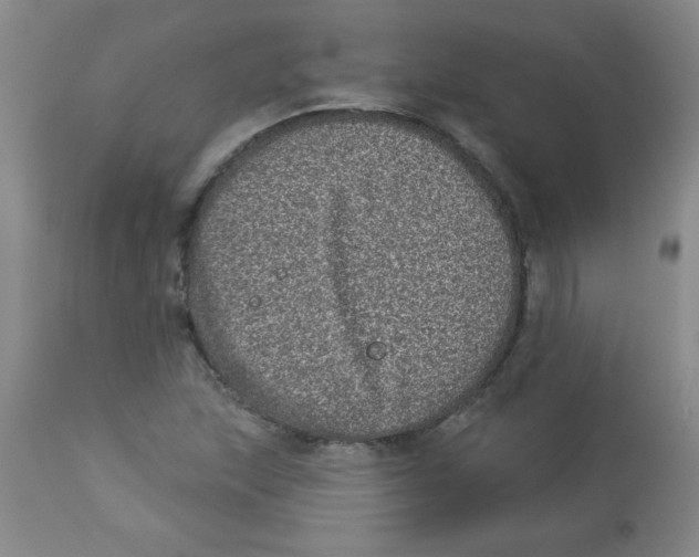X0000113941215200910231937
