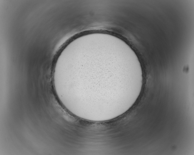 X0000113941216200910231937