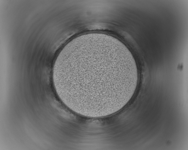X0000113941217200910231937