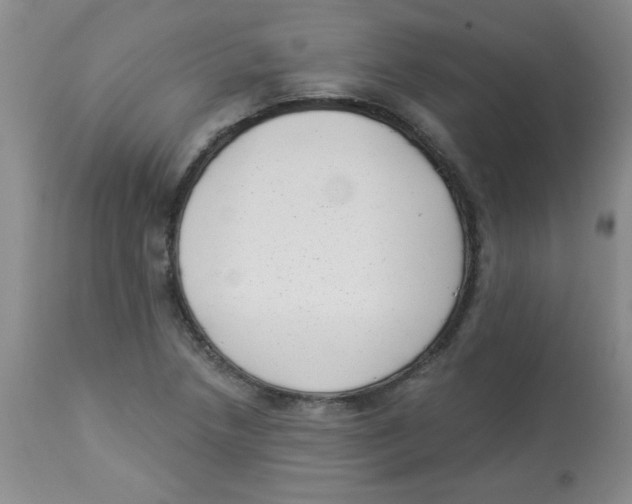X0000113941218200910231937
