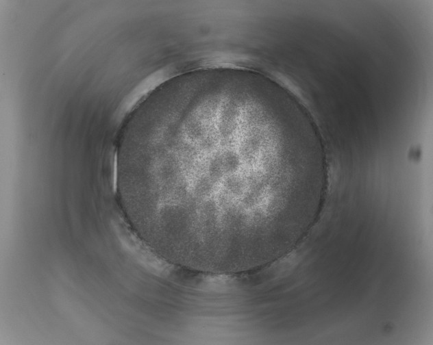 X0000113941219200910231937