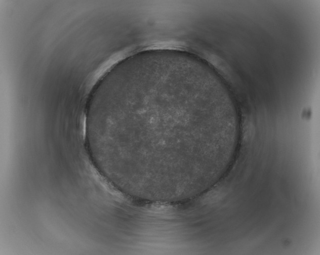 X0000113941221200910231937