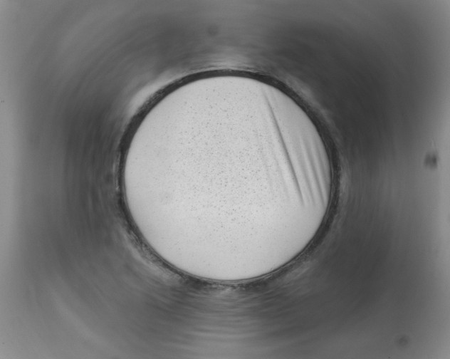 X0000113941222200910231937