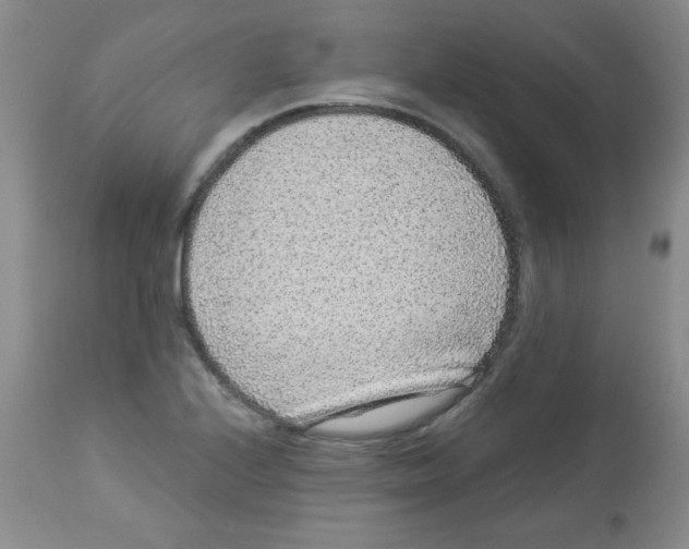 X0000113941224200910231937
