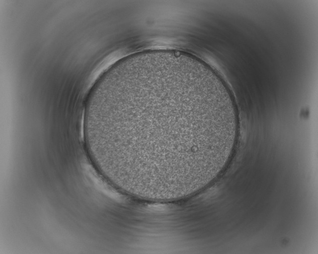X0000113941227200910231937