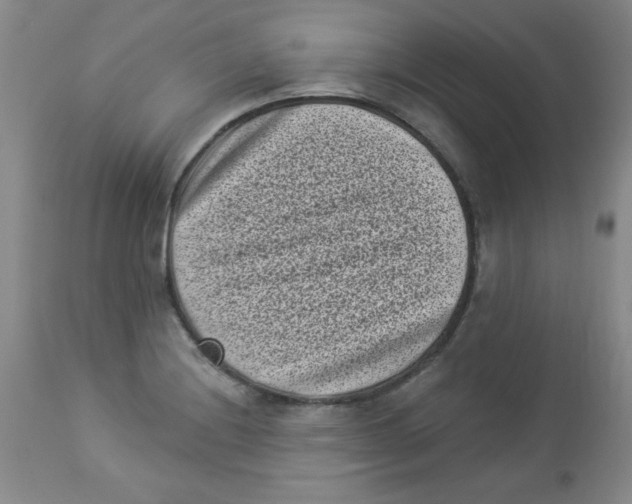 X0000113941228200910231937
