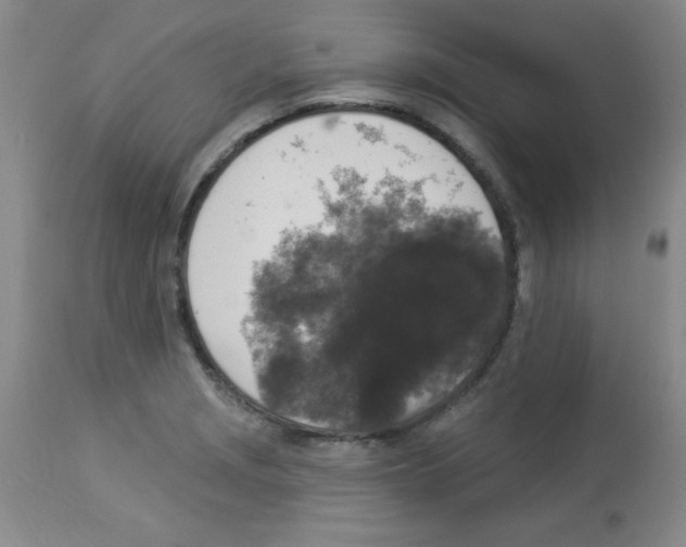 X0000113941229200910231937