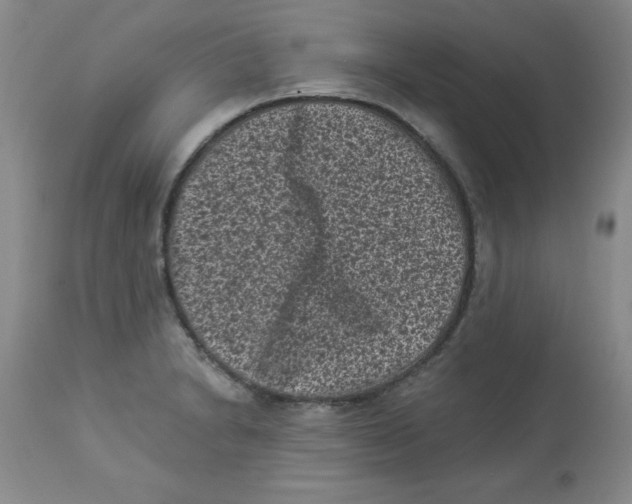 X0000113941230200910231937