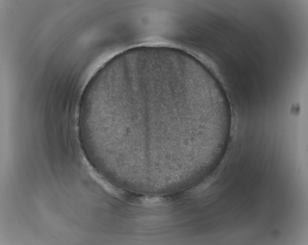 X0000113941231200910231937