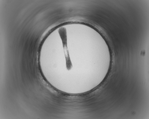 X0000113941232200910231937