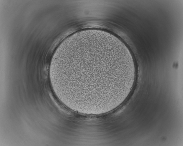 X0000113941233200910231937