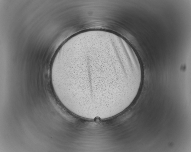 X0000113941234200910231937