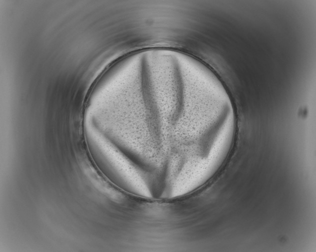 X0000113941236200910231937