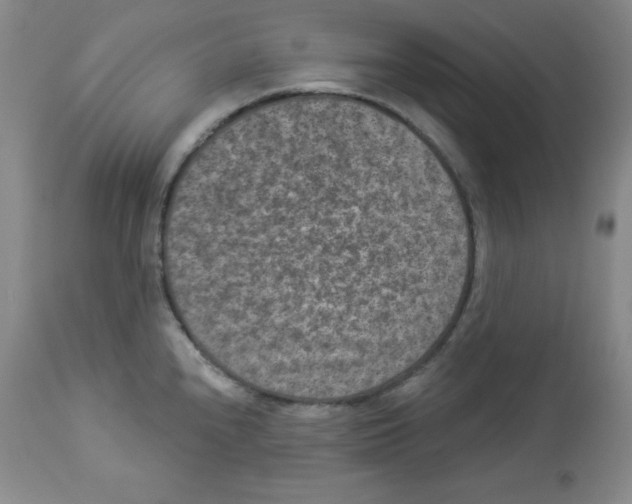 X0000113941240200910231937
