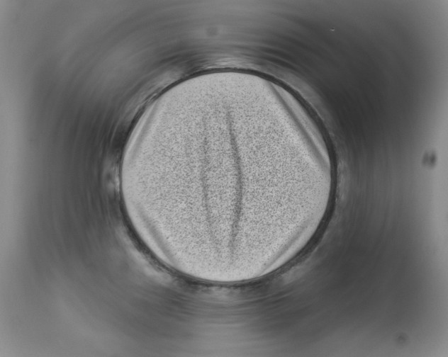 X0000113941241200910231937
