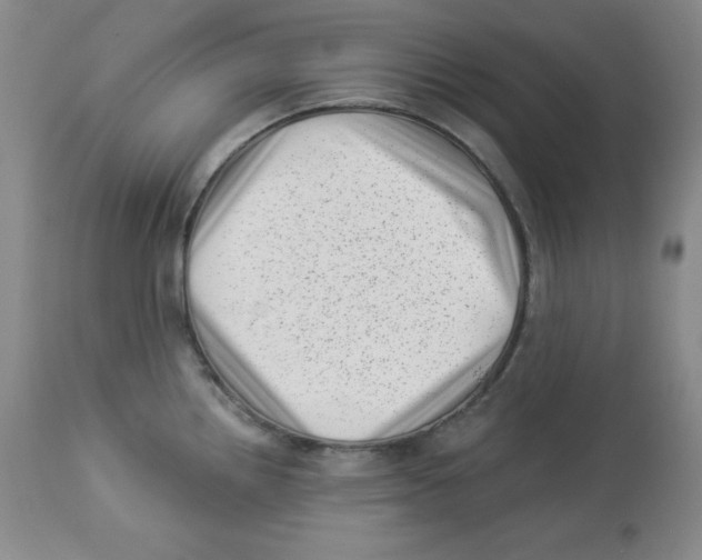 X0000113941242200910231937