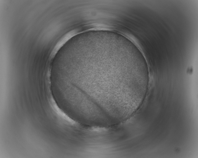 X0000113941243200910231937