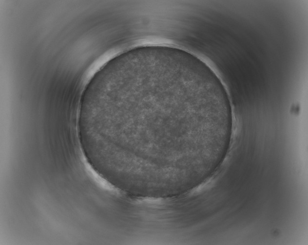 X0000113941245200910231937