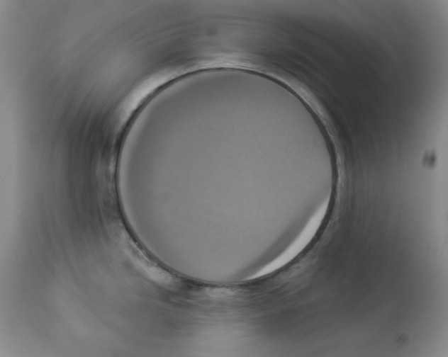 X0000113941246200910231937