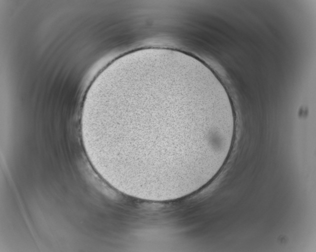X0000113941248200910231937