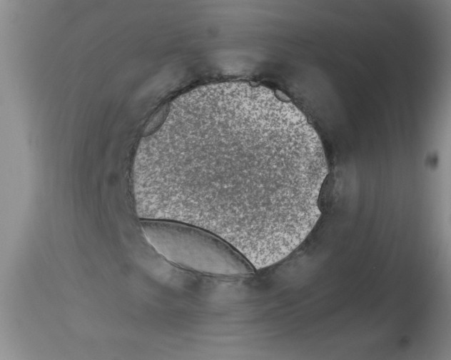 X0000113941249200910231936